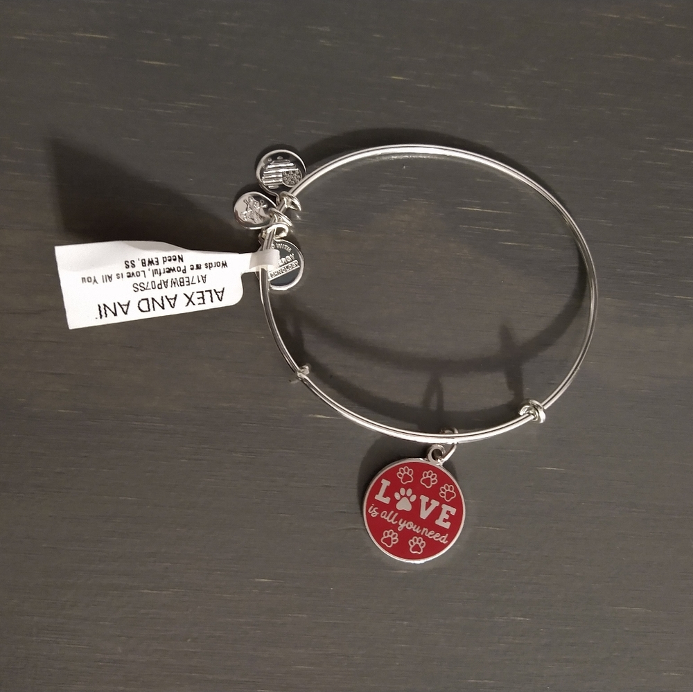 Alex & Ani bangle